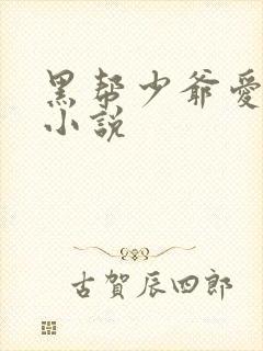 黑帮少爷爱上我小说