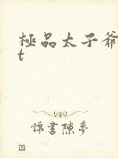 极品太子爷txt