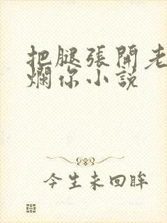 把腿张开老子臊烂你小说