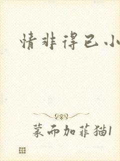 情非得已小说