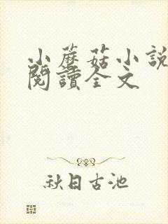 小蘑菇小说免费阅读全文封面