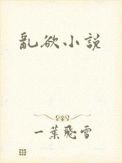 乱欲小说