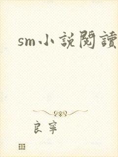 sm小说阅读