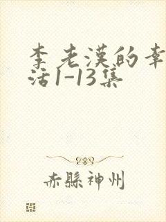 李老汉的幸福生活1-13集