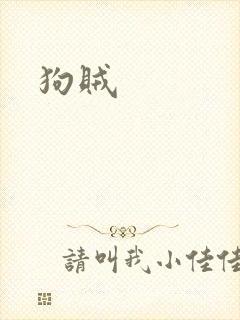 狗贼封面