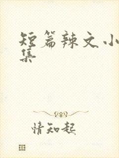 短篇辣文小说合集