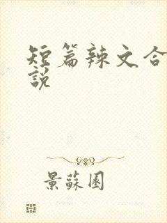 短篇辣文合集小说