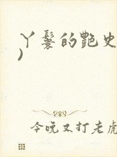 丫鬟的艳史(H)