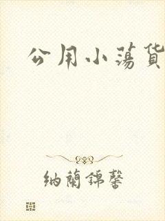 公用小荡货芊芊封面