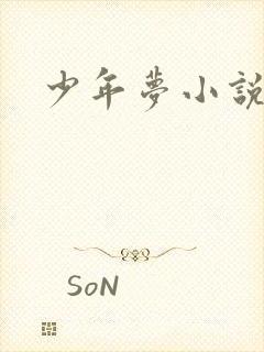 少年梦小说
