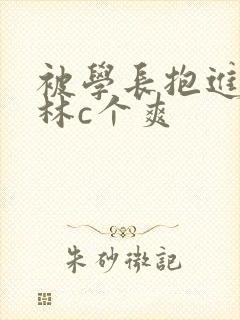 被学长抱进小树林c个爽封面