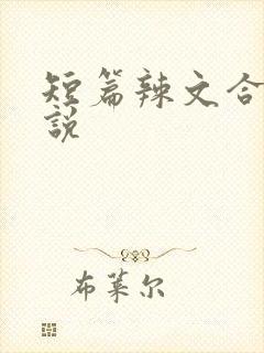 短篇辣文合集小说
