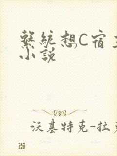 系统想C宿主的小说