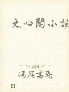 文心阁小说