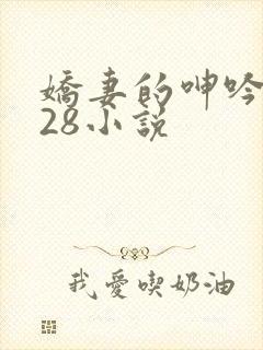 娇妻的呻吟1—28小说