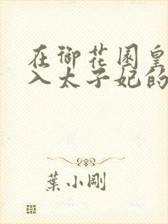在御花园皇上进入太子妃的小说