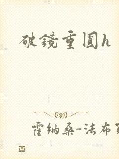 破镜重圆h
