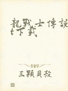 龙战士传说txt下载