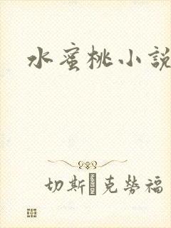 水蜜桃小说