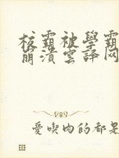 校霸被学霸玩到崩溃云译网