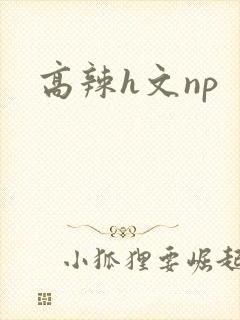 高辣h文np