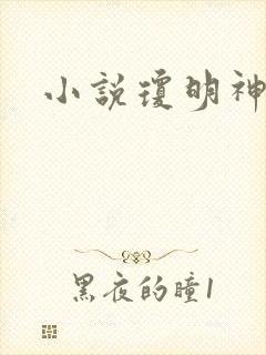 小说琼明神女录