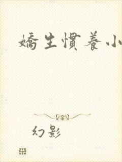 娇生惯养小说