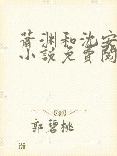 萧渊和沈安安的小说免费阅读