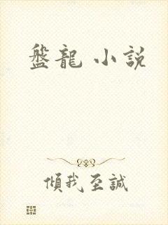 盘龙 小说