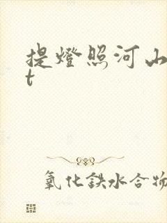 提灯照河山txt