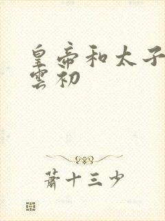 皇帝和太子妃h云初封面
