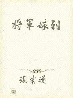 将军嫁到封面
