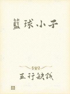 篮球小子