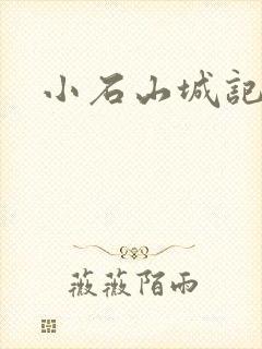 小石山城记封面