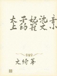 太子妃沈音和皇上的宠文小说