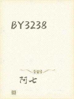 BY3238封面