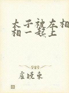 太子被左相和右相一起上
