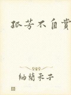 孤芳不自赏小说