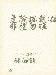 危险总裁:总裁非礼勿碰封面