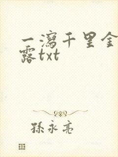 一泻千里金银花露txt