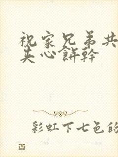 祝家兄弟共享后夹心饼干