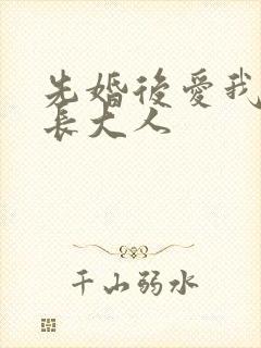 先婚后爱我的市长大人