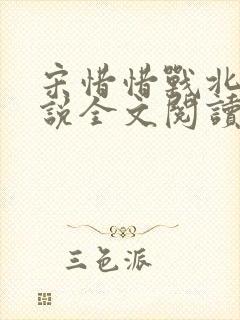 宋惜惜战北望小说全文阅读封面