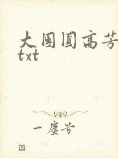 大团圆高芳小说txt
