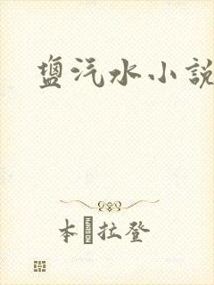 盐汽水小说