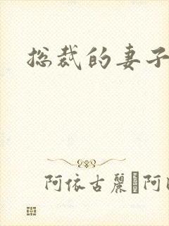 总裁的妻子封面