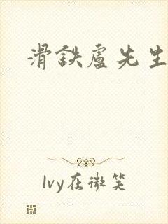 滑铁卢先生封面
