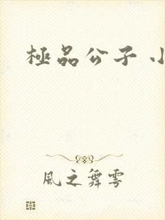 极品公子 小说