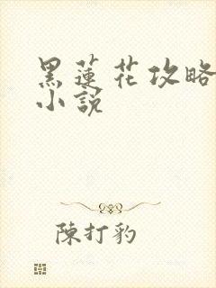 黑莲花攻略手册小说