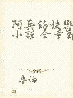 阿兵的快乐生活小说 全章节阅读免费